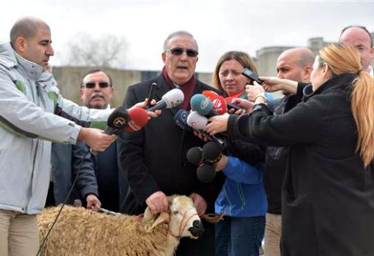 TBMM Tosundan sonra Koçuda gördü