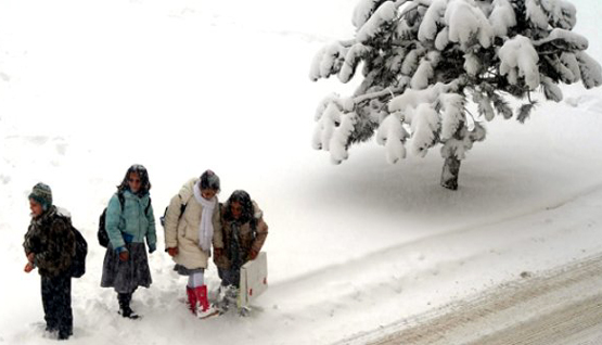 İmdaaaat yetişin, Ardahan donuyor
