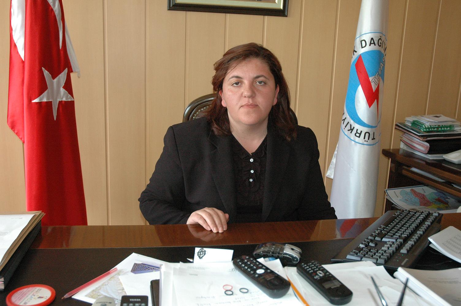 TEDAŞ, Ardahan Merkez Trafolarını güçlendirdi