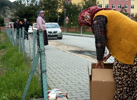 244 bin dul kadına maaş bağlandı