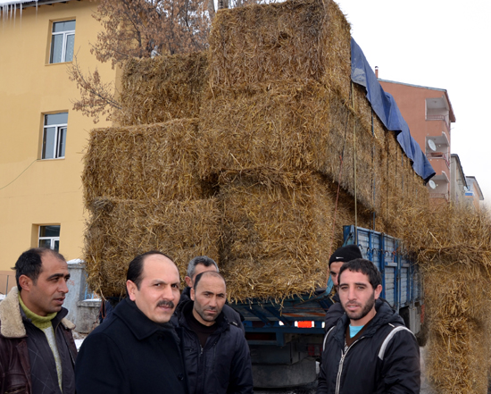 Atalay'ın girişimi sonuç verdi, ithal saman Ardahan'da!