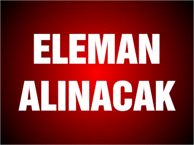 VETERİNER HEKİM ARANIYOR