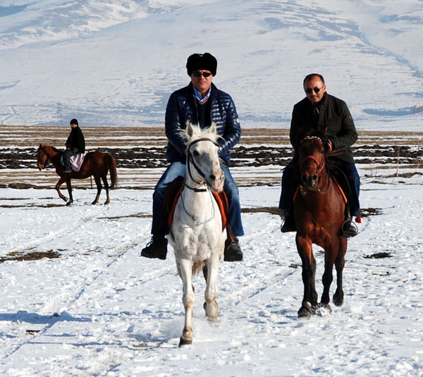 Ardahan'da Rahvan at sporu geliştirilecek