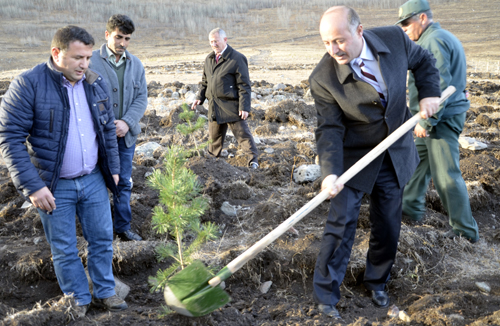 Ardahan'da Hedef 3 Buçuk milyon fidan!