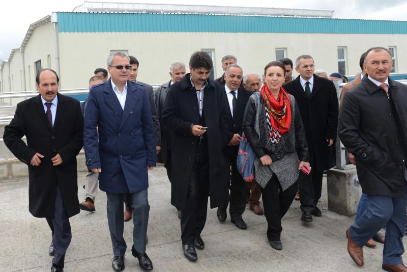 Anketler çözüme ne diyor?