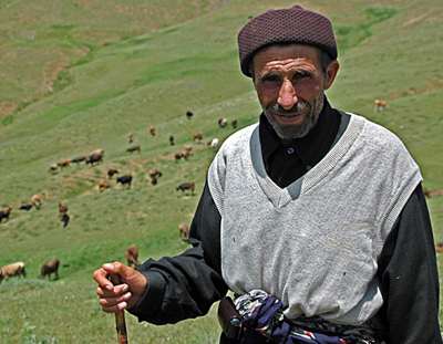 Vali Mustafa Tekmen, Çoban arıyor!