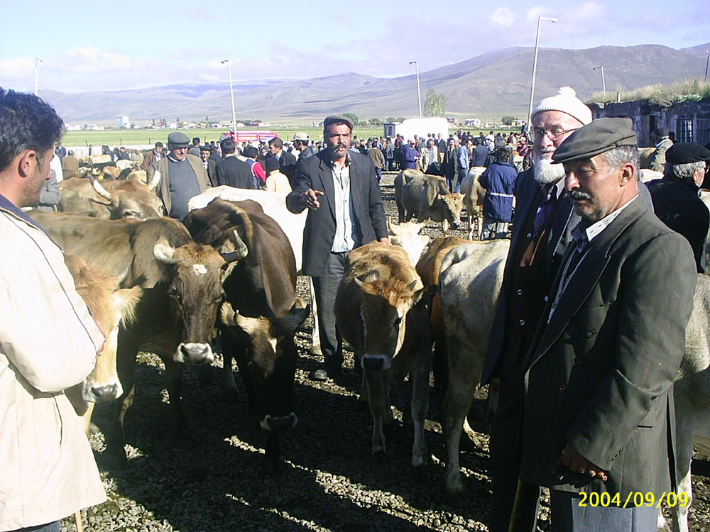 BİR MEYDANIN RUHSATINI BİLE YAPAMADILAR