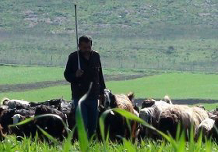 Çıldırlı Çobanlardan haber alınamıyor!