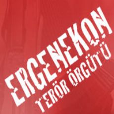 Ardahan'da Ergenekon belirtileri