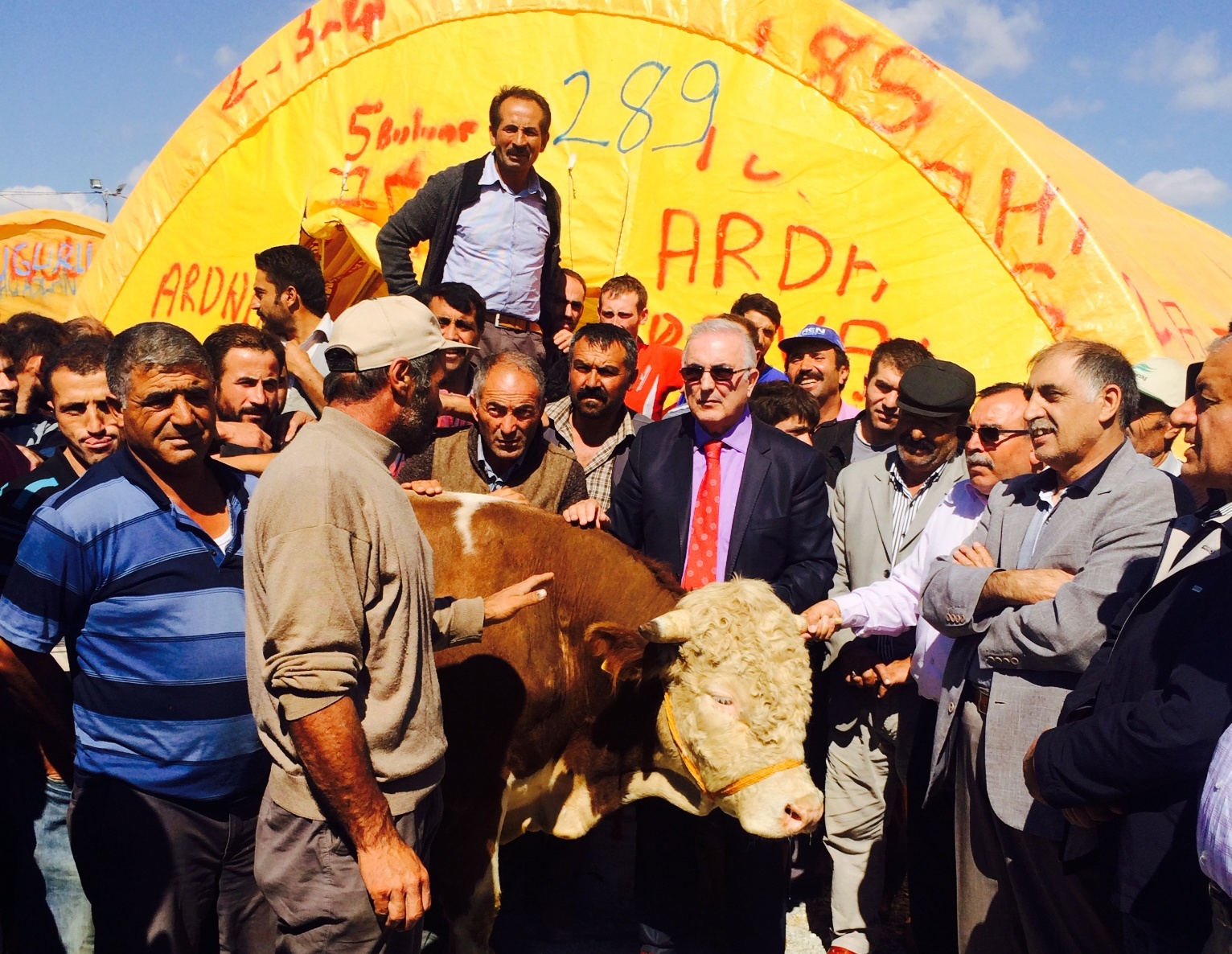 Besiciler ithal hayvana karşı ayaklandı