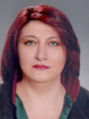 Ardahan&#8217;da Aile Mahkemesi sıkıntısı