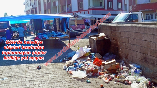 Göle'de bu çöpler ne zaman toplanacak?