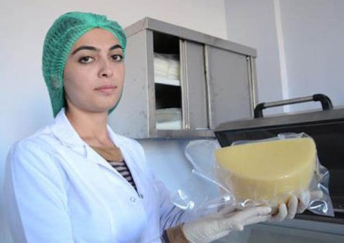 Kaşar bizim, patent Kars'ın olacak!
