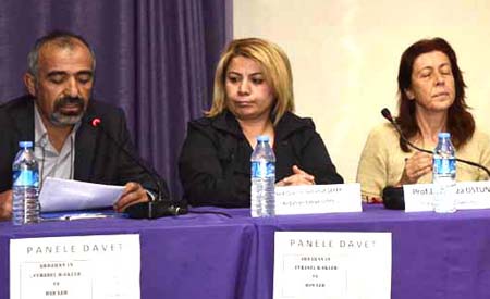 Çevresel Riskler ve Hes'ler için panel