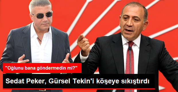 Sedat Peker'den Gürsel Tekin için ilginç iddia