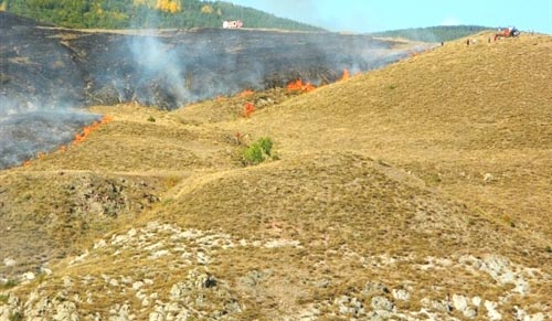Posof'ta Ot Yangını