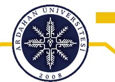 Ardahan Üniversitesi Öğrencileri Gençlik Şöleninde buluştu