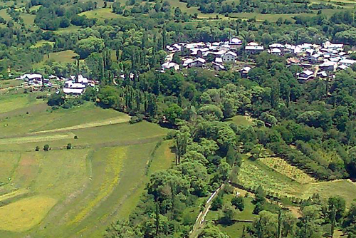 Ardahan'da 2014'te Hedef 4 Milyon Fidan