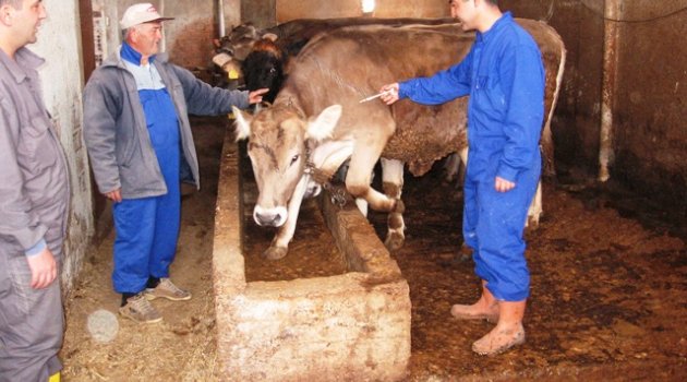 Karantina kararı alındı, kaç gün olacağı belli değil!