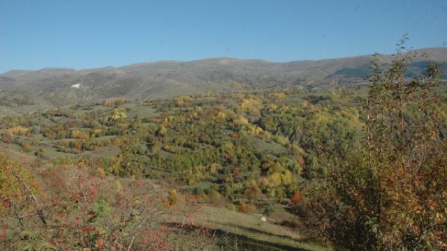 Posof'ta renk cümbüşü heyecanlandırıyor