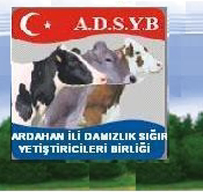 ADSYB Seçimi Bugün Yapılıyor