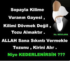 Mevlana'yı Anlamak