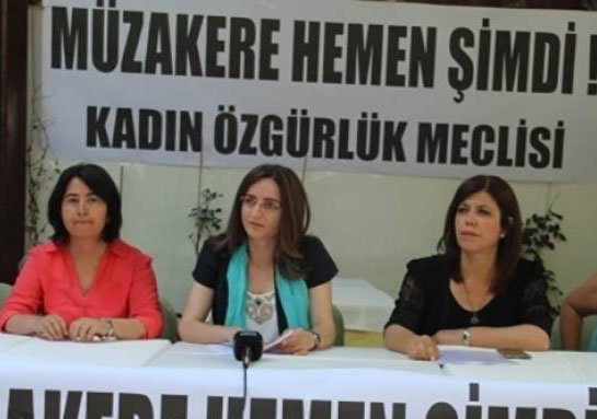 Kadın Özgürlük Meclisi Ardahan'a gidiyor