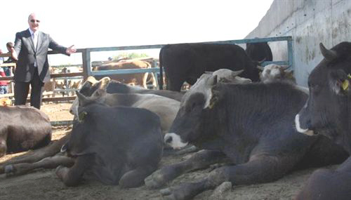 Öğüt: Etin kilosunu 10 Liradan vermeye hazırız