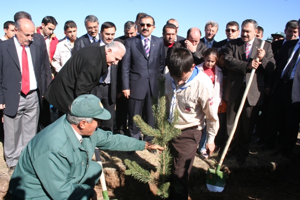 Ardahan bu yıl fidana doyacak