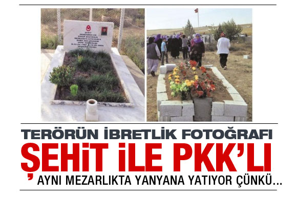Asker ve PKK'lı kuzenler yan yana