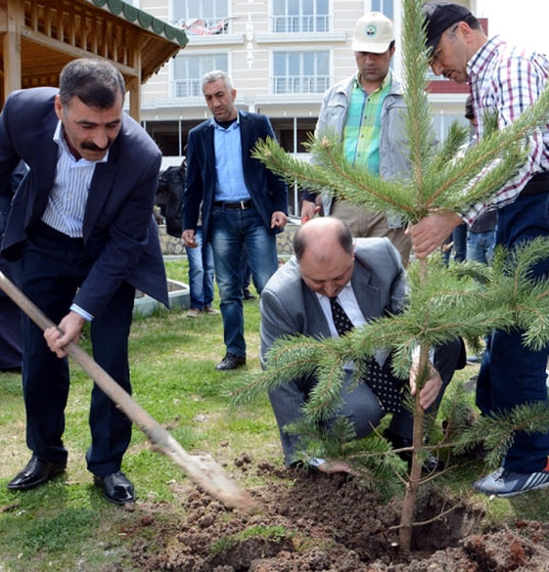 Başkan fidanları dikiyor, yolları ekiyor
