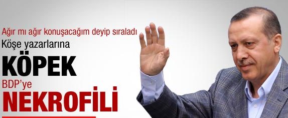 &#8216;Akbaba, tasmalı&#8217; ve Şeyh Edebali...