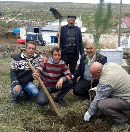 Hamza Bektemurdan Çıldıra 1800 çam fidesi