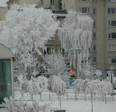 En soğuk hava -26 dereceyle Ardahan oldu!