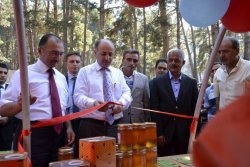 Ardahan'da Bal Olmayınca Paketleme Tesisi Boş Kaldı