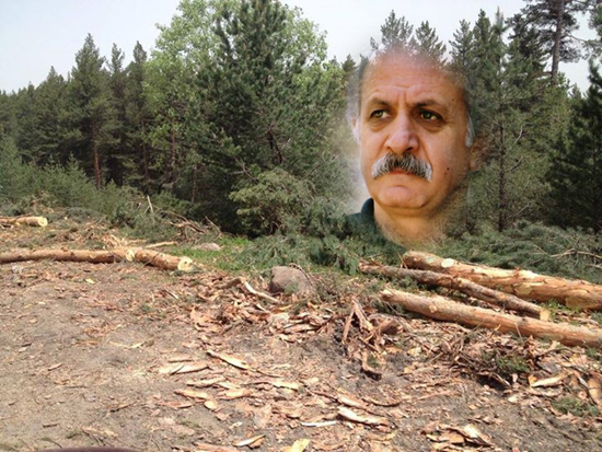 Çal Dağı&#039;nda Çalar Davul Savul Gözü Bağlım!