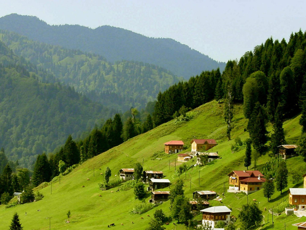 Doğu Karadeniz'de nüfus alarmı!