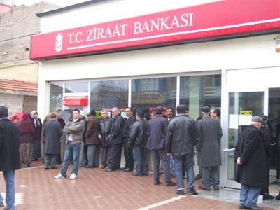 Yem Bitkileri Destekleme Ödemeleri Başladı
