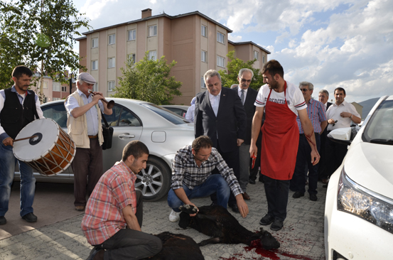 Saffet Kaya, yine kurbanlarla karşılandı!