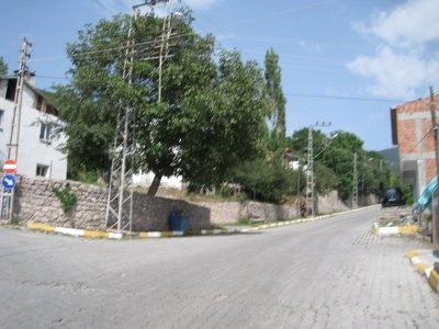 Ardahan'da Kış ortasında yalancı bahar