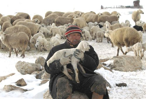 Sertifikalı çobanlık için ilk eğitim Ardahan'da