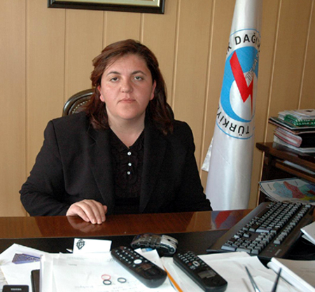 80 kilometrelik ana hatta zarar var