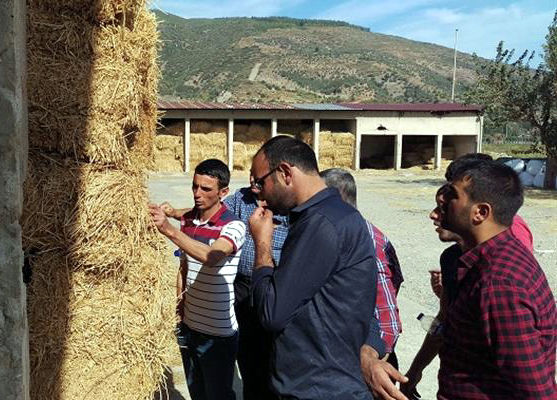Süt sığırcılığı ve buzağı eğitimi verildi