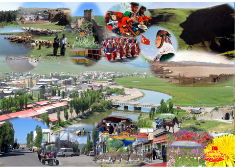 Ardahan'da Festival günleri yine karıştı!