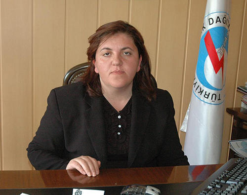 Ardahan'da elektrikler kesilecek...