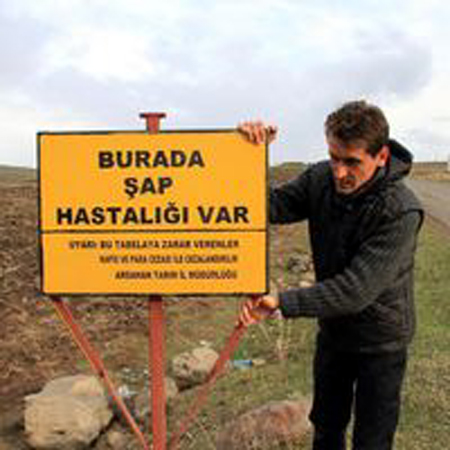 Ardahan'da Şap karantinası