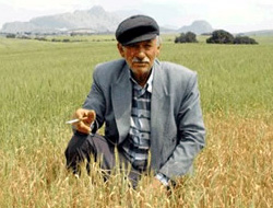 Çiftçilere müjde!
