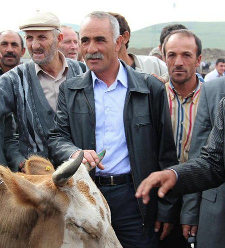 Ardahan CHP İl Yönetimi Hayvan Pazarındaydı!