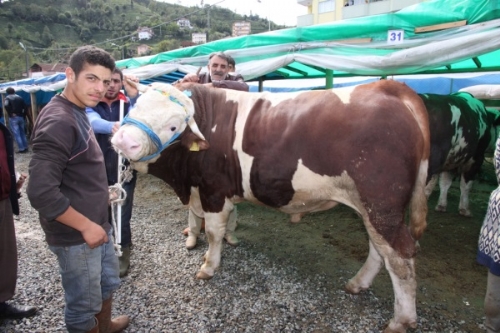 Kurban Sahipleri Bakırcı'ya Teşekkür Etti