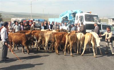 Müslüman Mahallesinde Salyangoz Satıyorlar!